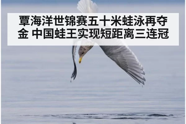覃海洋世锦赛五十米蛙泳再夺金 中国蛙王实现短距离三连冠