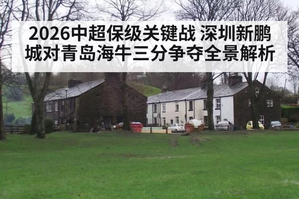 2026中超保级关键战 深圳新鹏城对青岛海牛三分争夺全景解析
